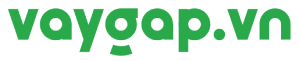 vaygap logo